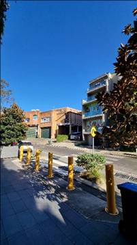 A street with yellow poles and trees

AI-generated content may be incorrect.