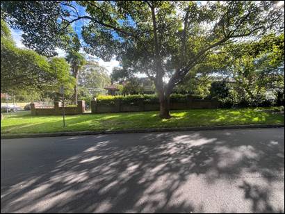 A street with trees and grass

AI-generated content may be incorrect.