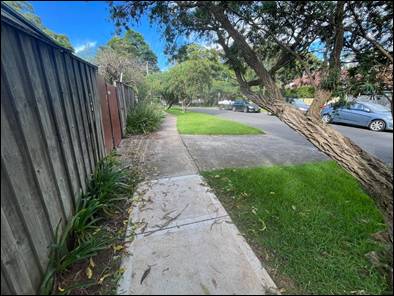 A sidewalk and a fence with a tree

AI-generated content may be incorrect.